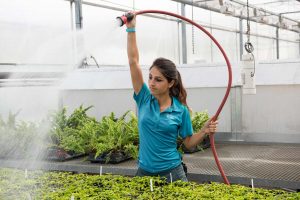 SOH-Greenhouse-2_web