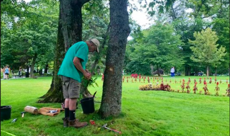 Stan Kochanoff ’62 helping repair vandalized trees at Halifax Public Gardens