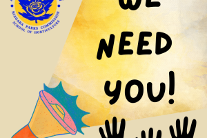 We Need You!